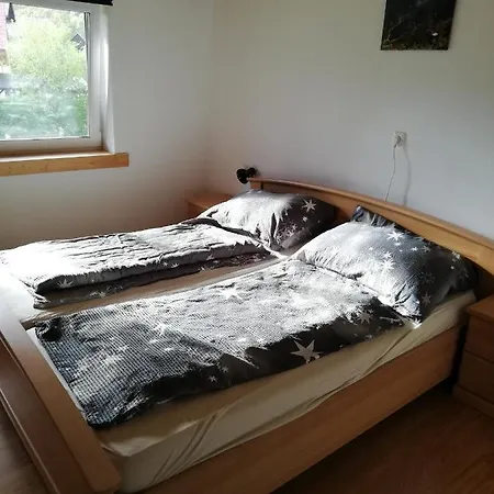 Haus Haider 1+2 Apartment *